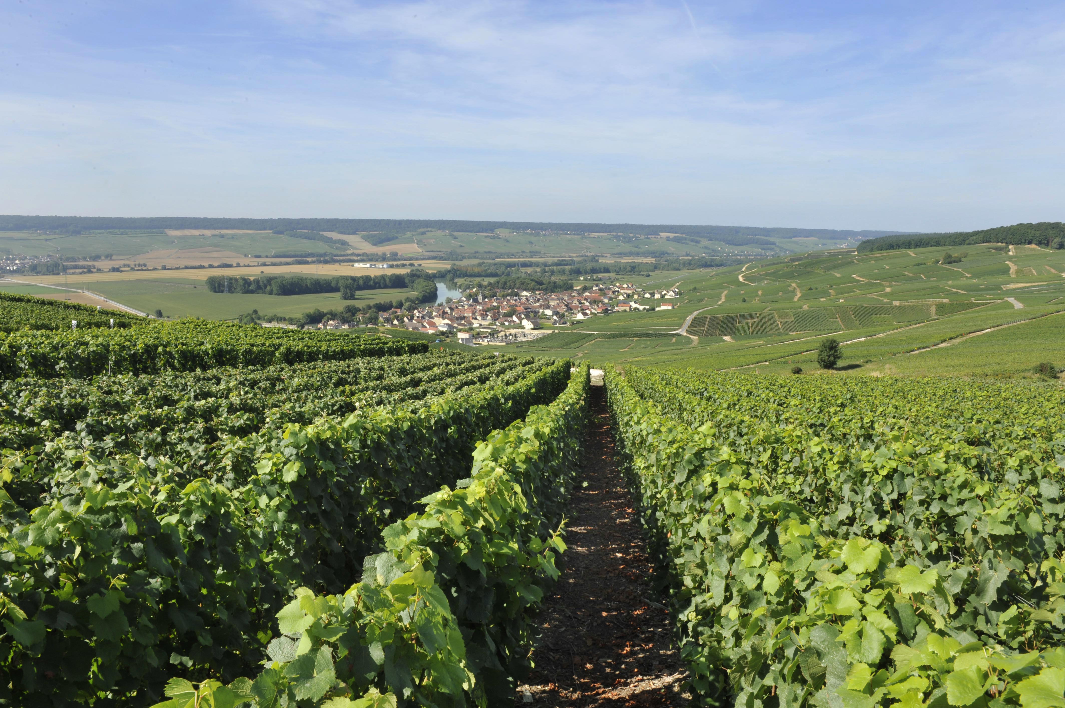 nature en tete tours sur marne